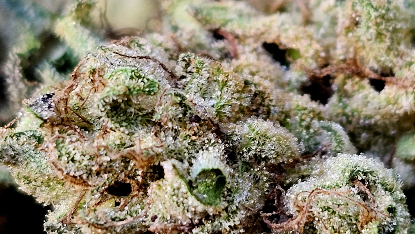 Pork Chop’s Flower Stack Attack™ | 1-4-15 NPK Bloom Booster Fertilizer & Plant Food
